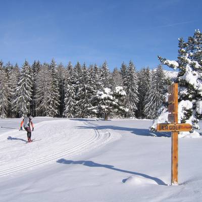 cross country skiing  in the alps (1 of 1).jpg